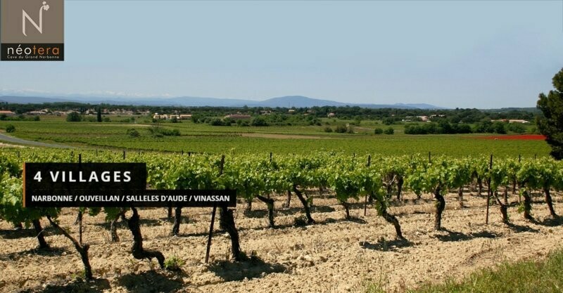 DomPeynac - Chardonnay - Frankrijk - Pay d'Oc
