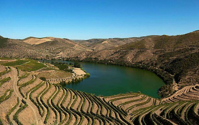 Beyra Vinhos De Altitude Branco - Portugal - Beyra