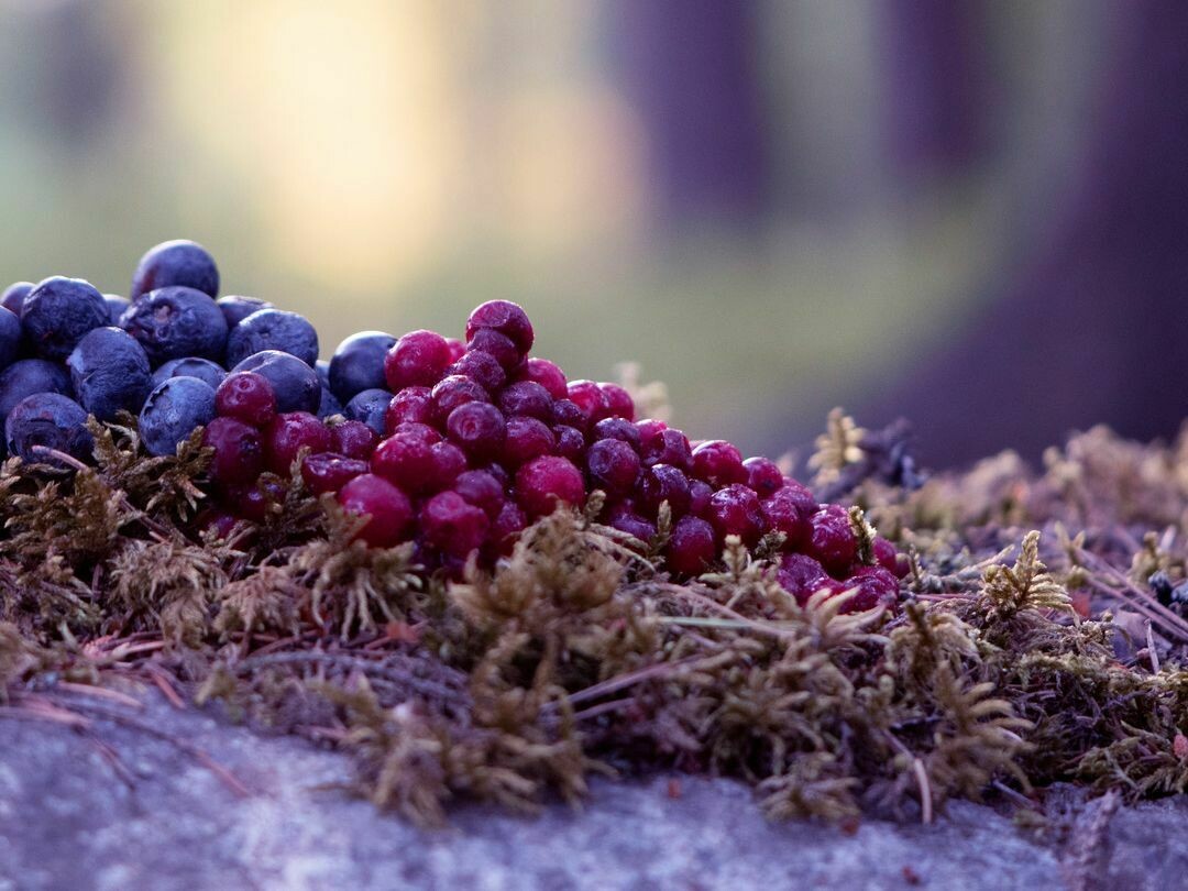 Mackmyra Jaktlycka - 46,1% Mackmyra Jaktlycka - 46,1%