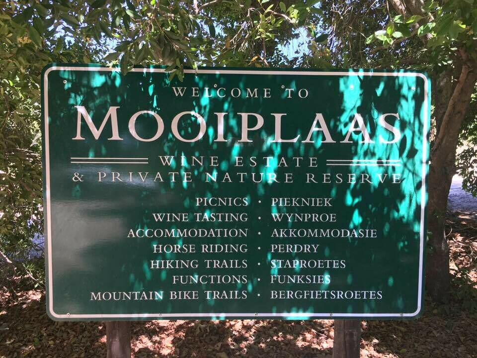 The Bean Coffee Pinotage - Mooiplaas - Zuid-Afrika The Bean Coffee Pinotage - Mooiplaas - Zuid-Afrika