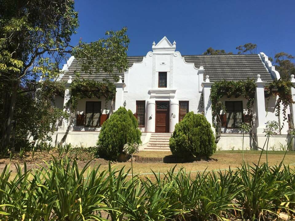 The Bean Coffee Pinotage - Mooiplaas - Zuid-Afrika The Bean Coffee Pinotage - Mooiplaas - Zuid-Afrika