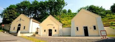 Château Dereszla Furmint Late Harvest - Hongarije