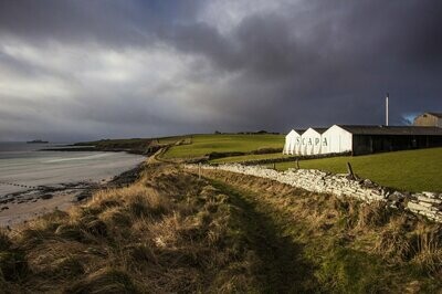 Scapa - Est. 1885