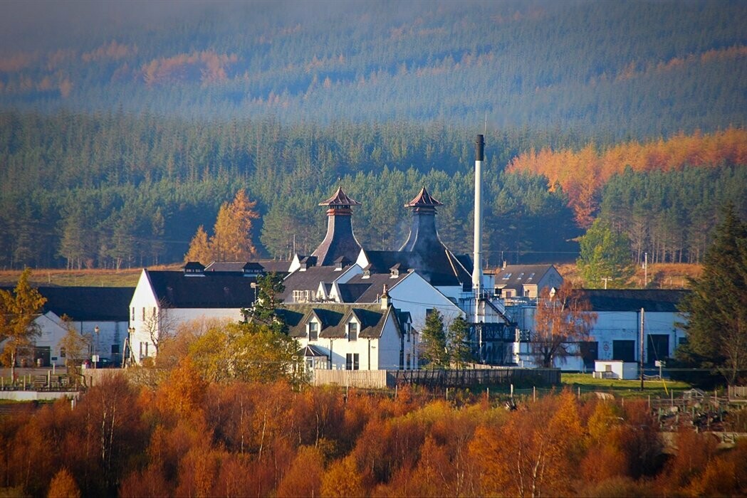 Dalwhinnie Distillers Edition - 43%