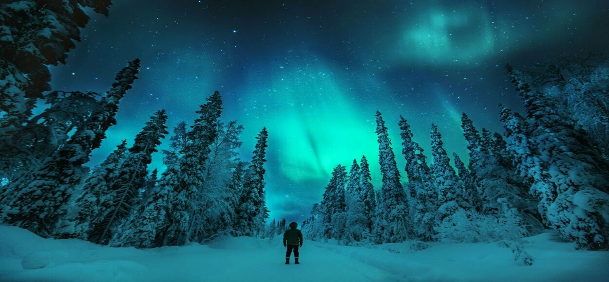 Teerenpeli Kulo - 7 years - 50.7%