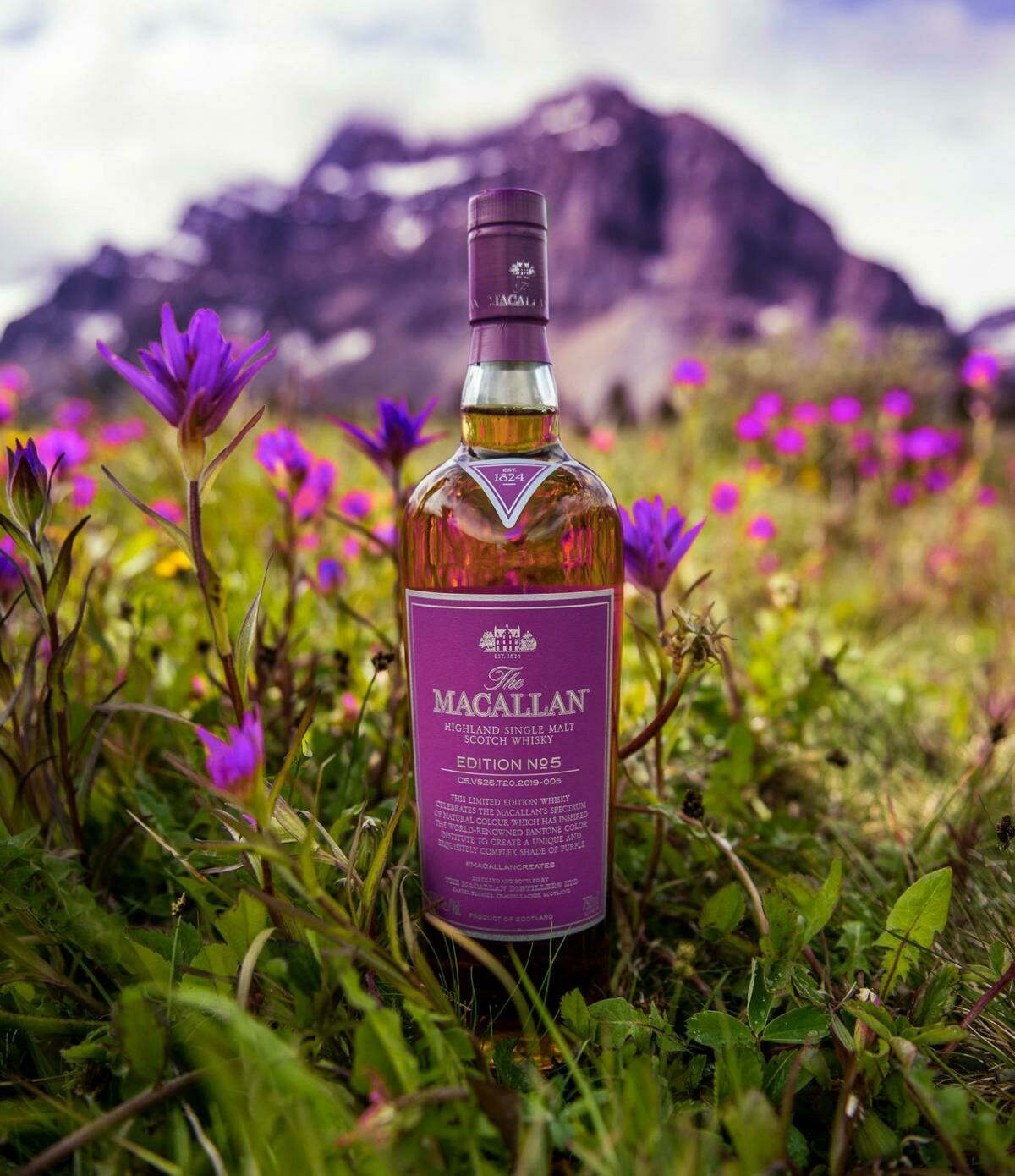 Macallan Edition No. 5 - 48.5% Macallan Edition No. 5 - 48.5%