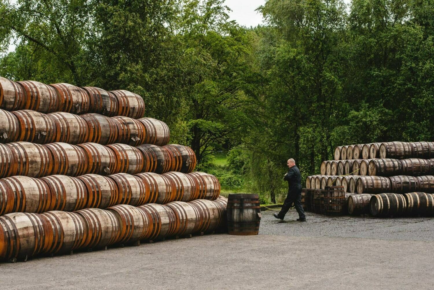 Bladnoch 14 years - 46.7% Bladnoch 14 years - 46.7%