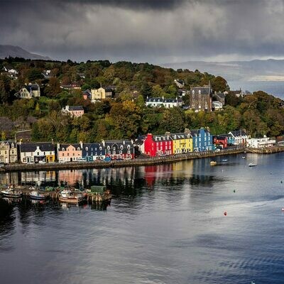 Tobermory 20 years - 46.3%