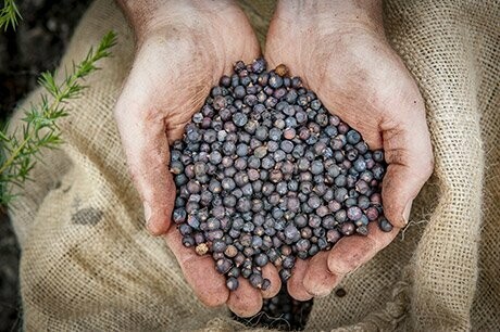 Citadelle Reserve Gin - 45.2% Citadelle Reserve Gin - 45.2%