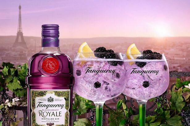 Tanqueray Royale Black Currant - 41.3% Tanqueray Royale Black Currant - 41.3%