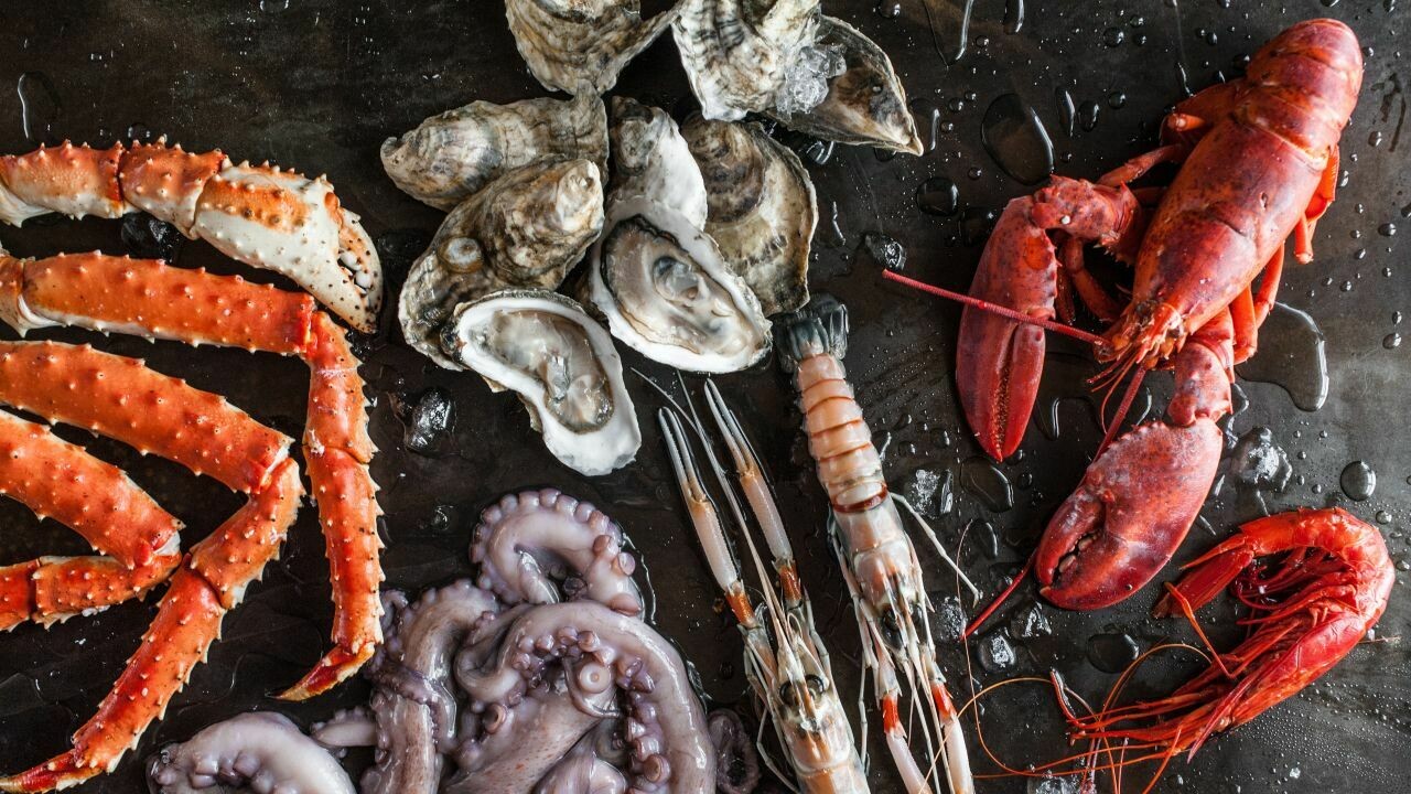 Roederer Premier brut Champagne Roederer Premier brut Champagne