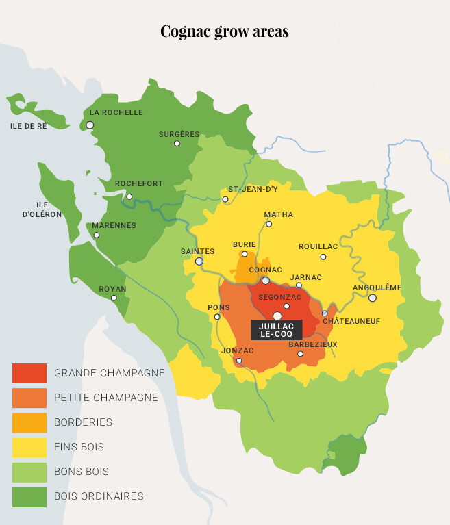 Jean Fillioux SO elegantissime XO - 41% Jean Fillioux SO elegantissime XO - 41%