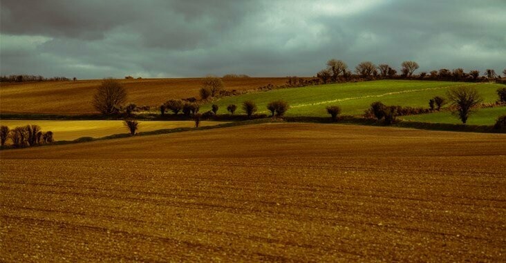 Waterford - Peated Lacken - 50% Waterford - Peated Lacken - 50%