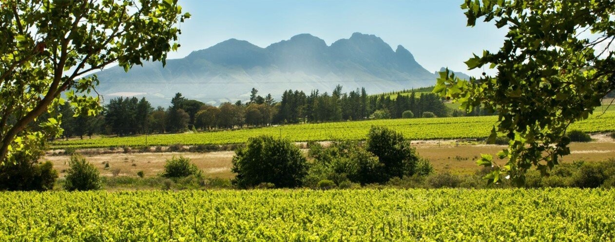 Hartenberg Estate - Cabernet Sauvignon / Shiraz - Stellenbosch - Zuid-Afrika Hartenberg Estate - Cabernet Sauvignon / Shiraz - Stellenbosch - Zuid-Afrika
