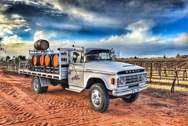 Ricca Terra Bronco Buster - Fiano & Vermentino Ricca Terra Bronco Buster - Fiano & Vermentino