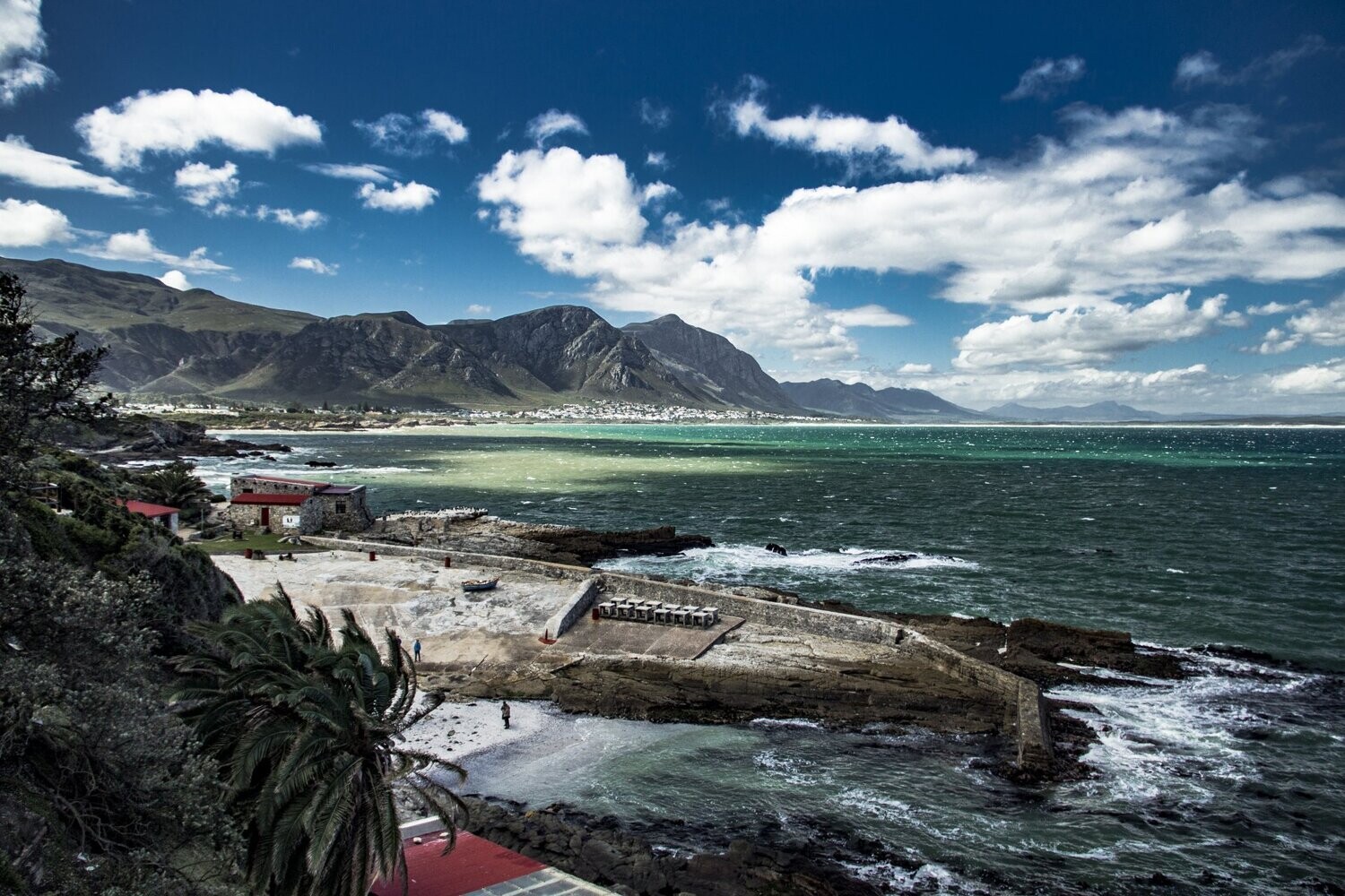 Nieuwe Haarlem - Chenin Blanc - Coastal Region - Zuid-Afrika Nieuwe Haarlem - Chenin Blanc - Coastal Region - Zuid-Afrika