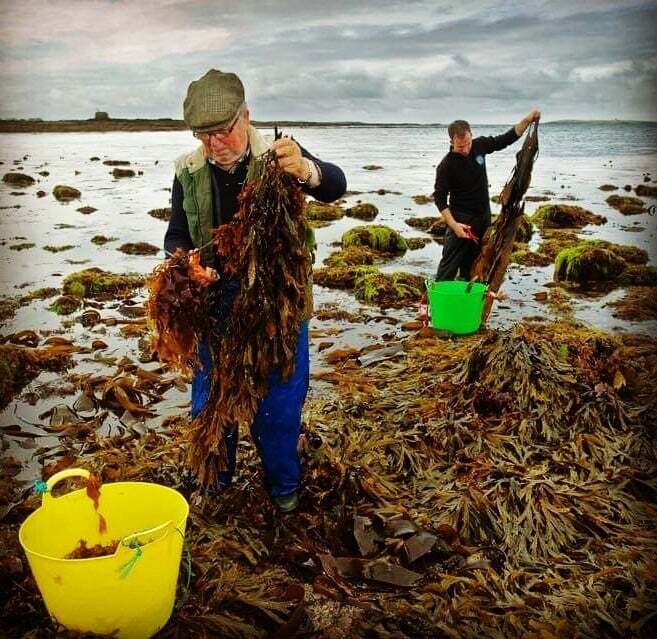 Currach Atlantic Kombu Seaweed Cask - Mezcal Cask Finish  - 50.4%