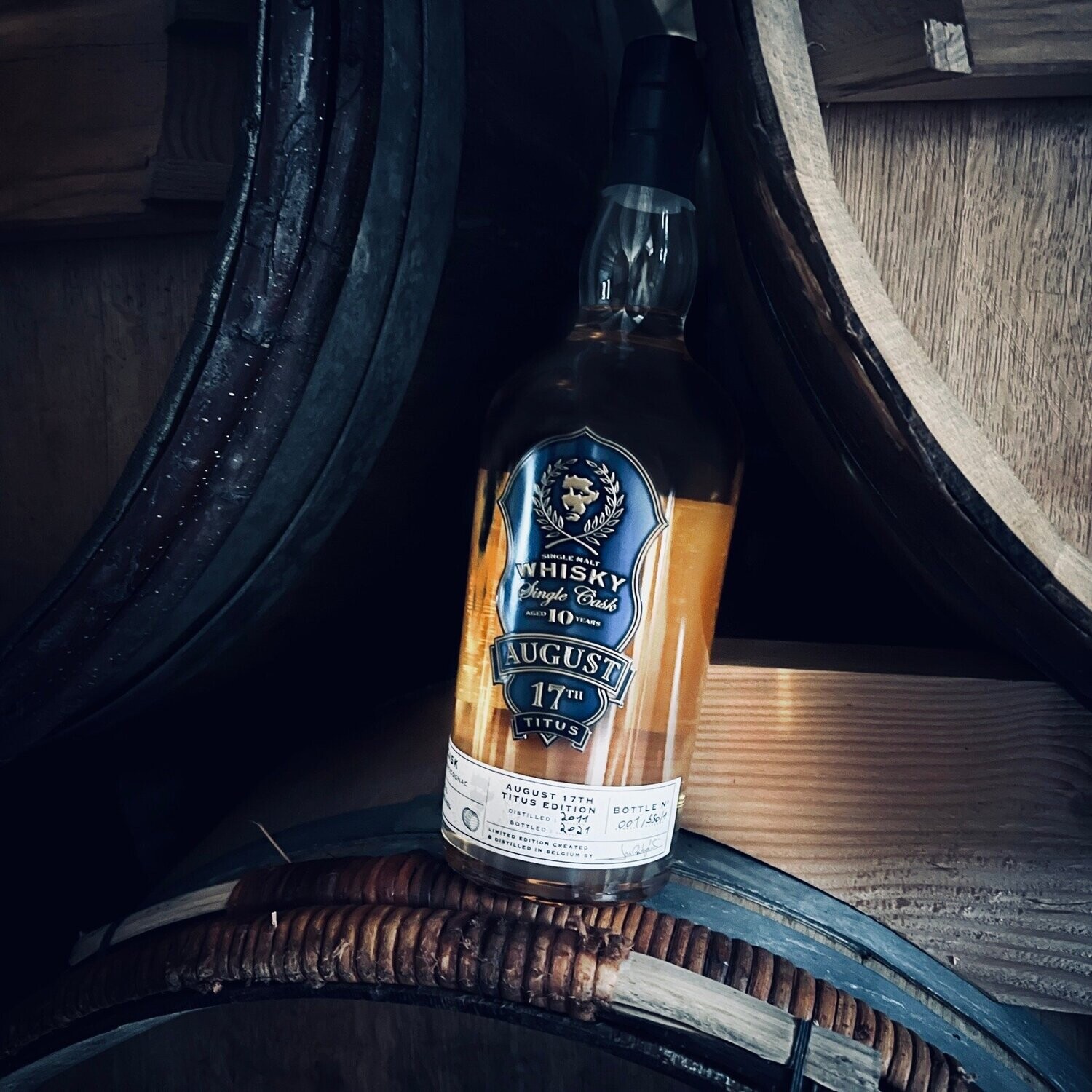 August 17 th. - Titus - 10 years - 62% August 17 th. - Titus - 10 years - 62%