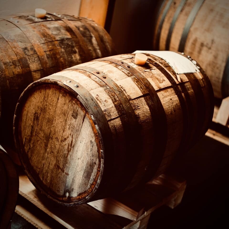 August 17 th. - Julius - 7 years - 52%