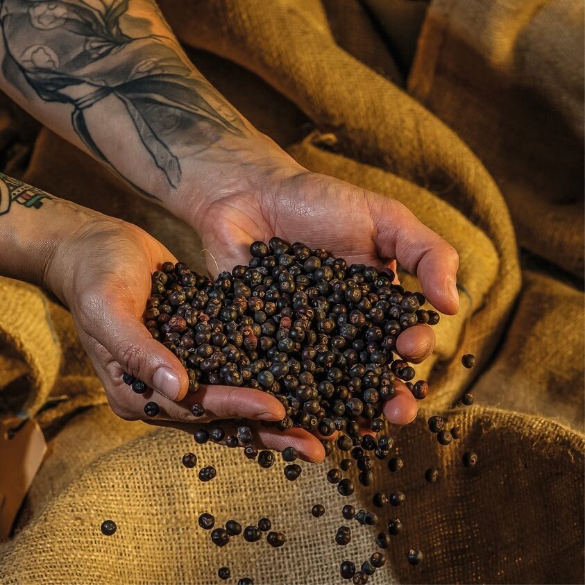 Gastro Gin - 45% Gastro Gin - 45%