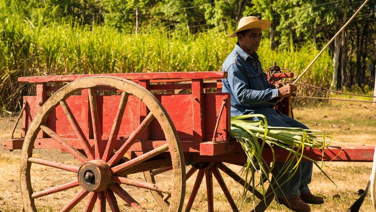 Ron Abuelo - Set with 3 different - Tawny - Oloroso - Cognac Ron Abuelo - Set with 3 different - Tawny - Oloroso - Cognac