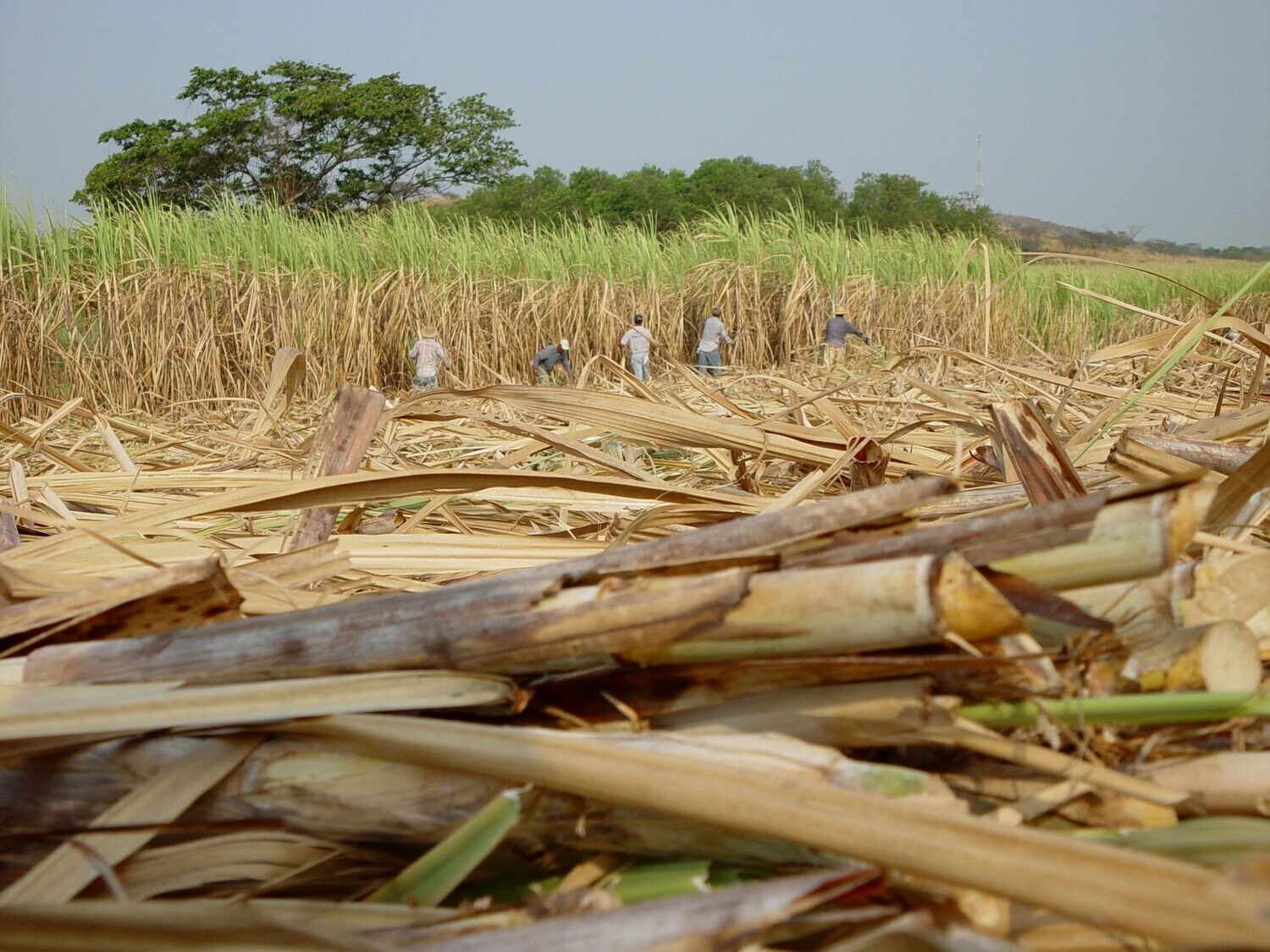 Ron Abuelo - 15 years - Napoleon Cognac Cask - 40% Ron Abuelo - 15 years - Napoleon Cognac Cask - 40%