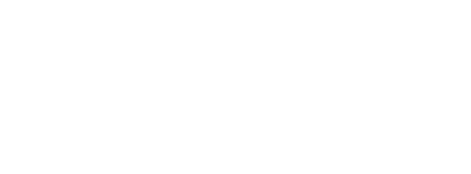 Nobushi blended whisky - 40% Nobushi blended whisky - 40%