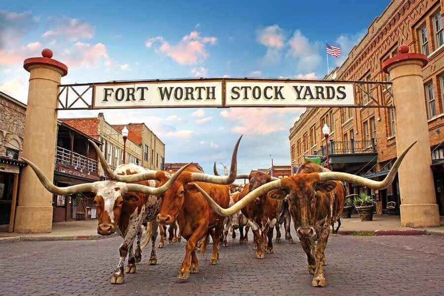 Balcones Texas Single Rum Cask - 59.6% Balcones Texas Single Rum Cask - 59.6%