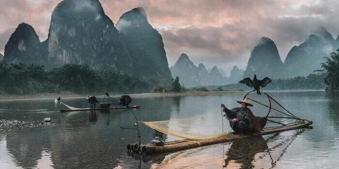 Bimber Da Hong Pao Tea Gin - 51.8% Bimber Da Hong Pao Tea Gin - 51.8%