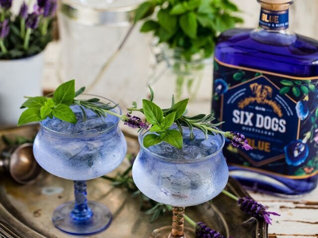 Six Dogs Blue Gin - 43% Six Dogs Blue Gin - 43%