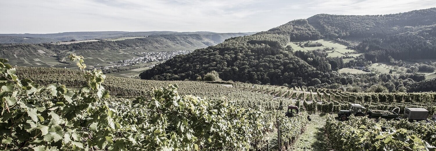 Bonpland Rum Blanc - 40% Bonpland Rum Blanc - 40%