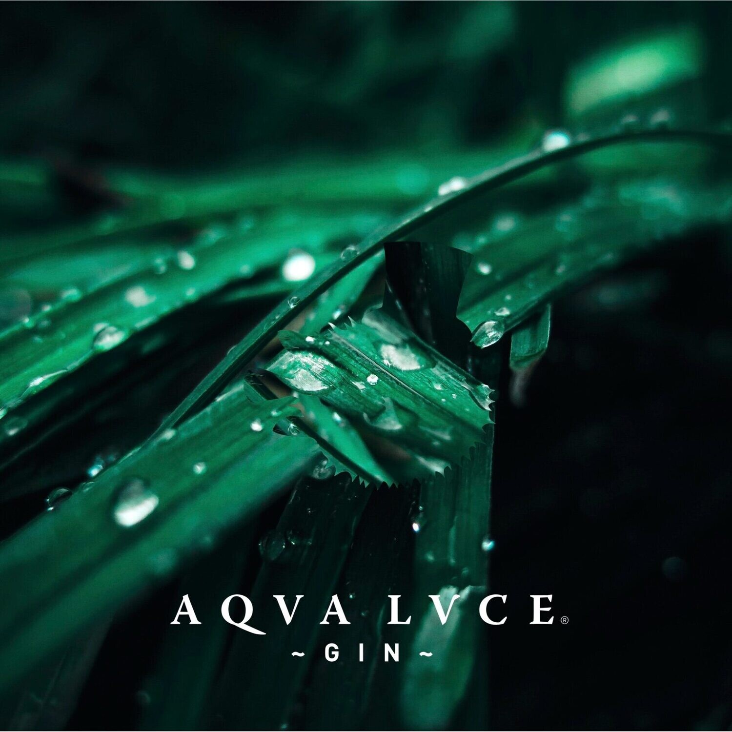 Aqva Lvce Gin - Italië - 47% Aqva Lvce Gin - Italië - 47%