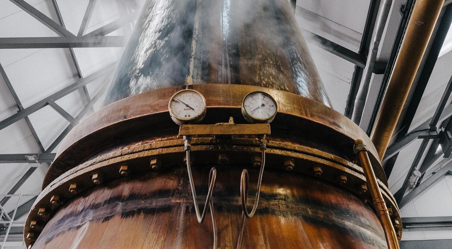 Fettercairn 16 years - 2e release 2021 - 46.4% Fettercairn 16 years - 2e release 2021 - 46.4%