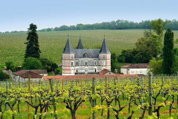 Frapin - Cigar Blend  XO - 40%