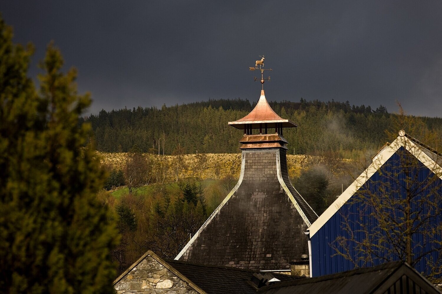 Glenfiddich Gran Reserva - 21 years - 43.2%