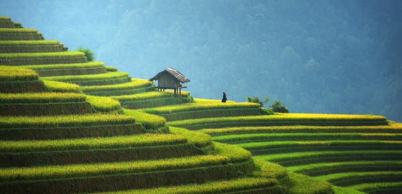 Naga Indonesian Rum Batavia Java Reserve Arrack - 40% Naga Indonesian Rum Batavia Java Reserve Arrack - 40%