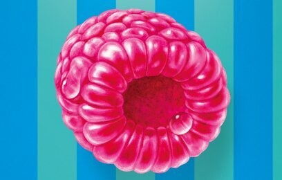 Smirnoff Raspberry Crush vodka - 25% Smirnoff Raspberry Crush vodka - 25%