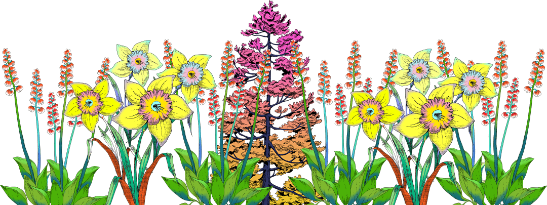 Glenmorangie a Tale of The Forest - 46% Glenmorangie a Tale of The Forest - 46%