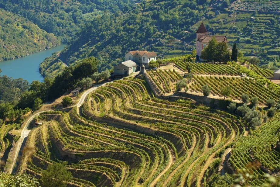 Sao Pedro das Aguias Port - 10 years Tawny Sao Pedro das Aguias Port - 10 years Tawny