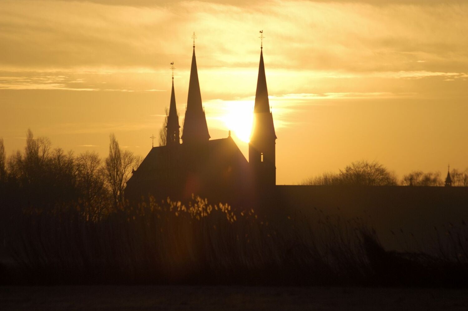La Trappe Three Rules of Authentic Trappist - alleen afhalen in de winkel in Oirschot La Trappe Three Rules of Authentic Trappist - alleen afhalen in de winkel in Oirschot