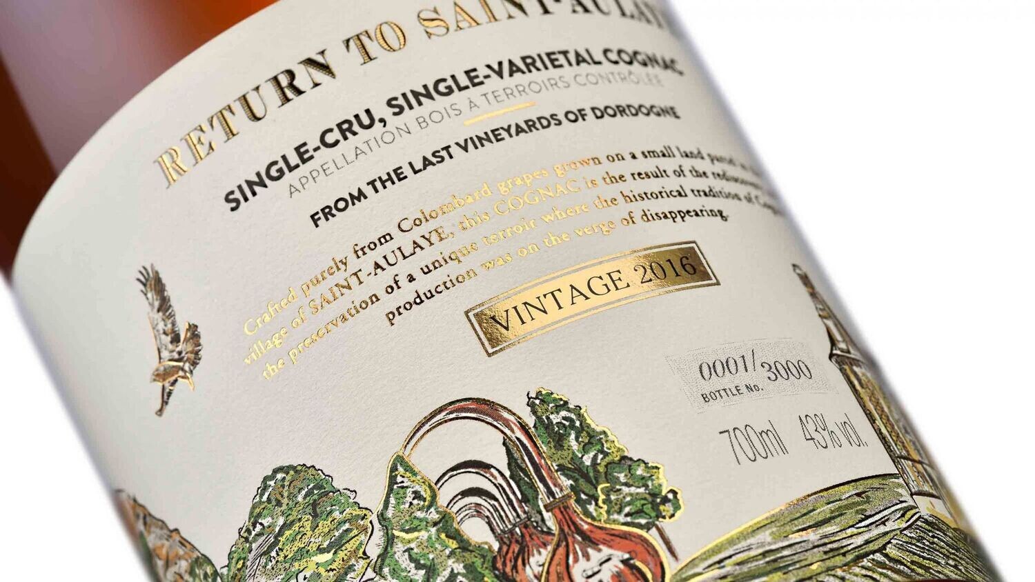 Camus Return to Saint-Aulaye - 43% Camus Return to Saint-Aulaye - 43%