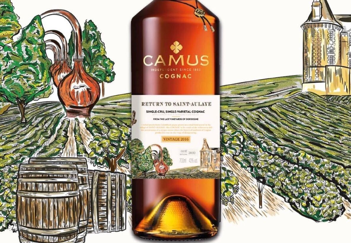 Camus Return to Saint-Aulaye - 43% Camus Return to Saint-Aulaye - 43%
