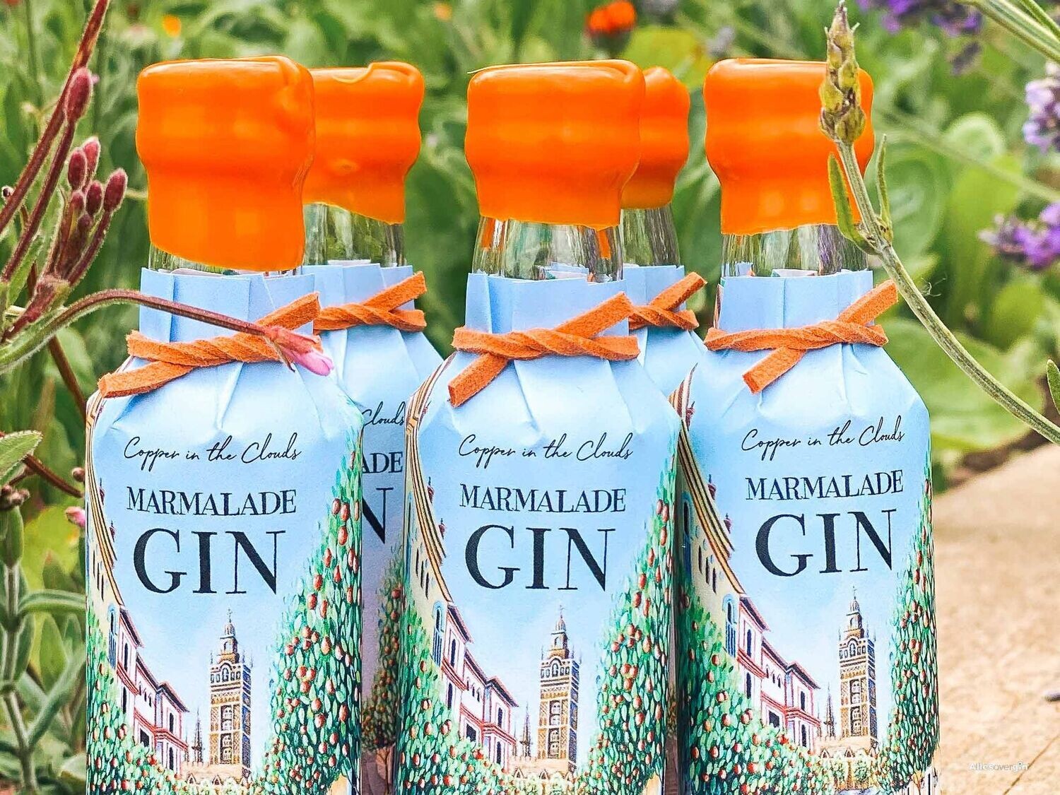 Copper in the Clouds marmelade gin - 40% Copper in the Clouds marmelade gin - 40%