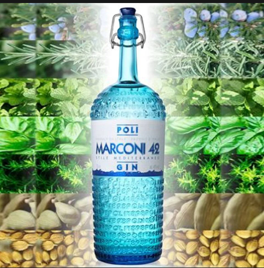 Poli Marconi Gin - 42% Poli Marconi Gin - 42%