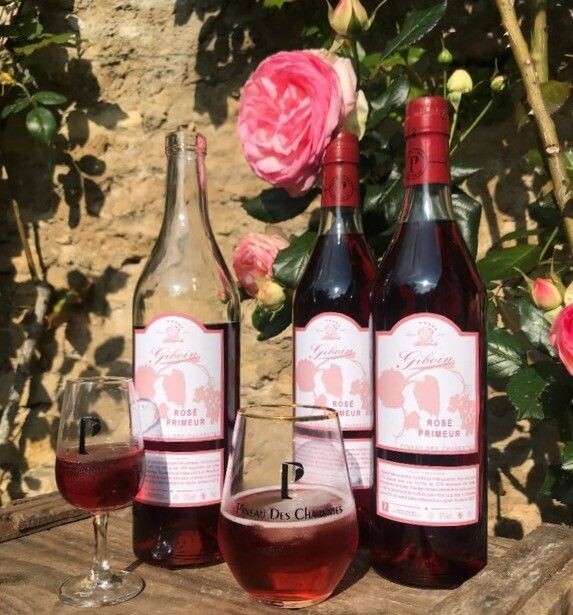 Rosé Primeur Pineau - 2022