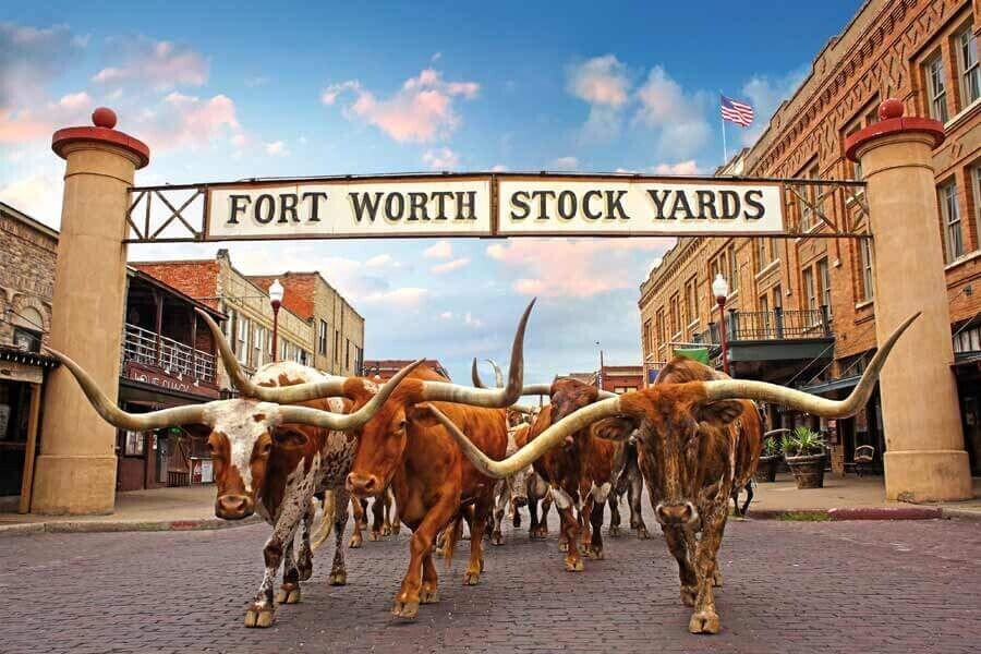 Balcones Texas Baby Blue Corn - 46% Balcones Texas Baby Blue Corn - 46%