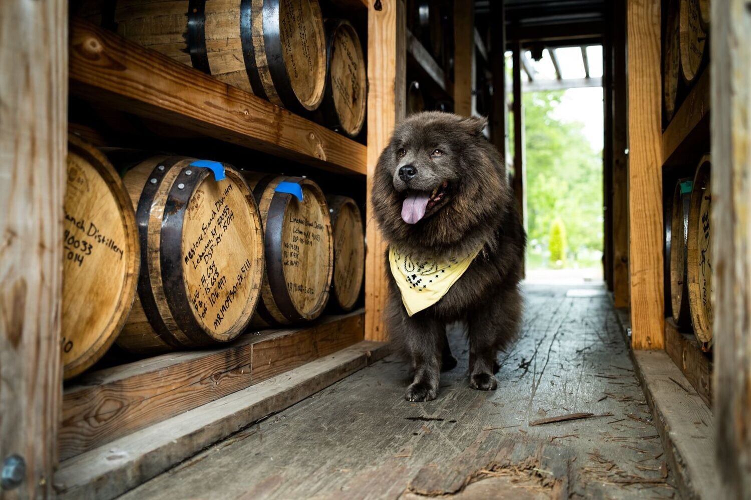 Yellowstone Single Malt - 54% Yellowstone Single Malt - 54%