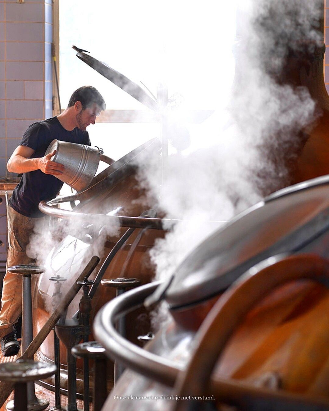 Molenberg Pedro 2024 - 46% Molenberg Pedro 2024 - 46%