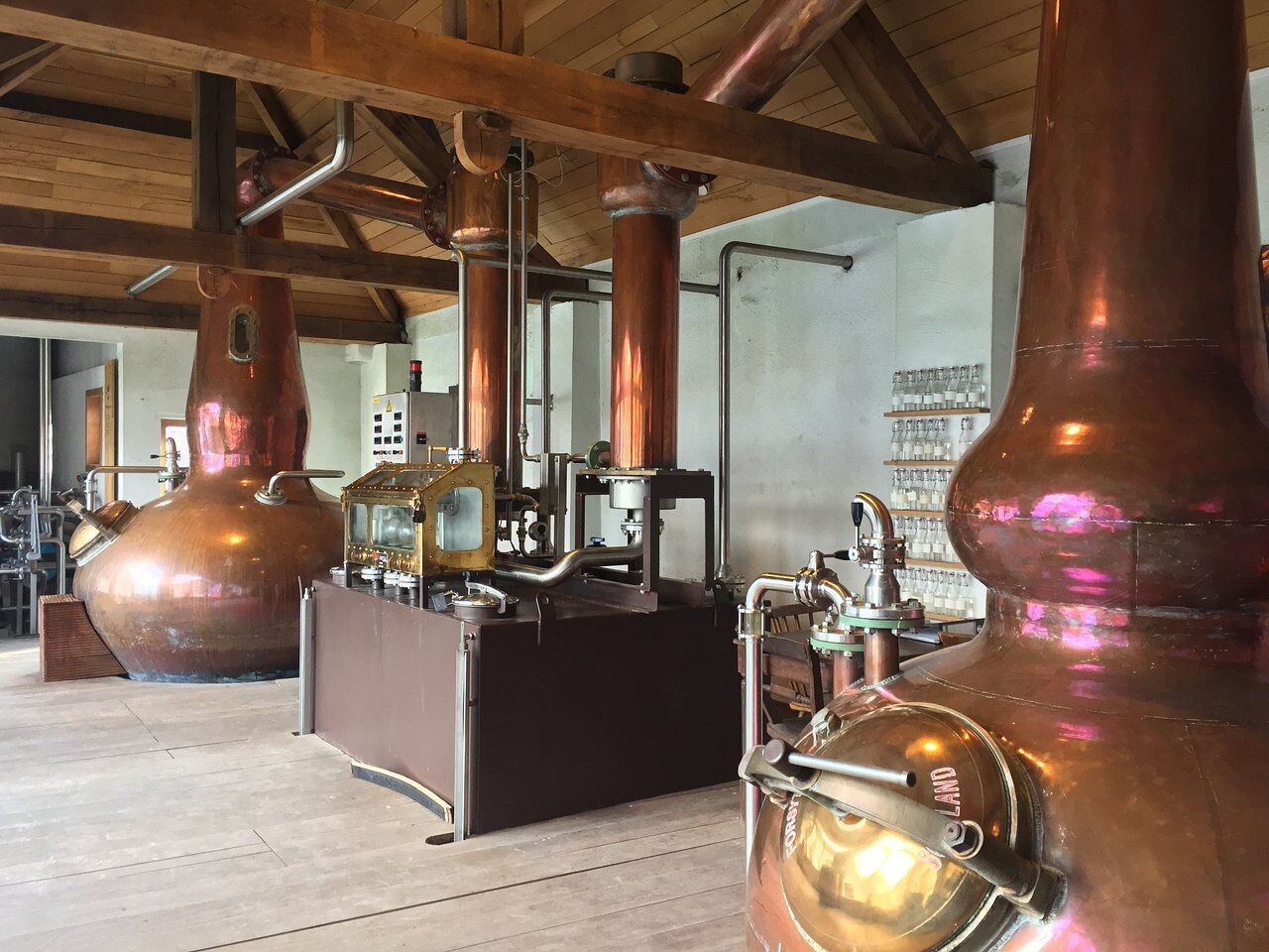 Molenberg Pedro 2024 - 46% Molenberg Pedro 2024 - 46%