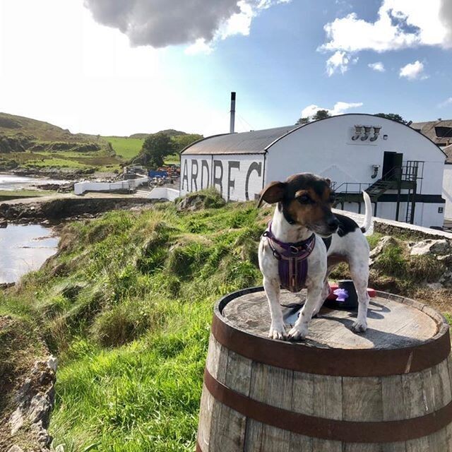 Ardbeg Smoketrails - Manzanilla Cask - Ardbeg Smoketrails - Manzanilla Cask -